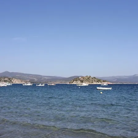 Aktaion Τολό